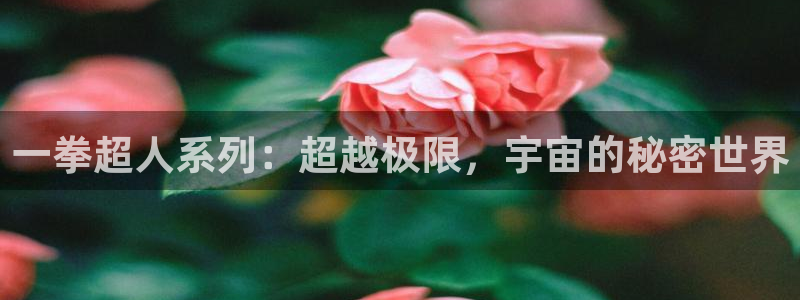 虫虫漫画韩国免费阅读网页版入口