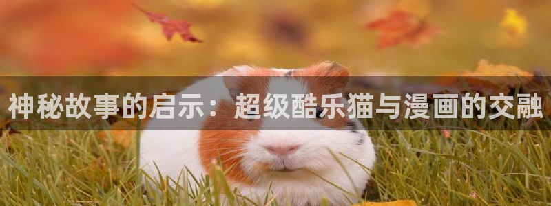 虫虫漫画在线阅读页面免费漫画：神秘故事的启示：超级酷乐猫与漫画的交融