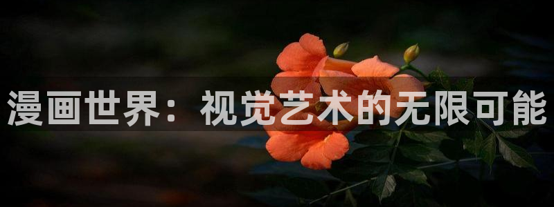 下拉观看虫虫漫画网：漫画世界：视觉艺术的无限可能