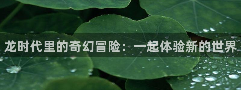 虫虫漫画免费漫画弹：龙时代里的奇幻冒险：一起体验新的世界