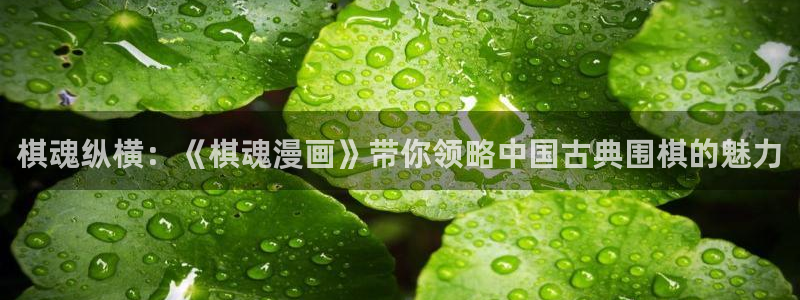 虫虫漫画官网入口：棋魂纵横：《棋魂漫画》带你领略中国古典围棋的魅力