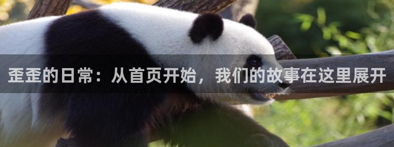 虫虫漫画在线阅读阅读