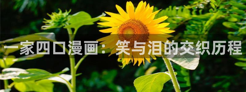虫虫漫画下拉式免费阅读在线：一家四口漫画：笑与泪的交织历程
