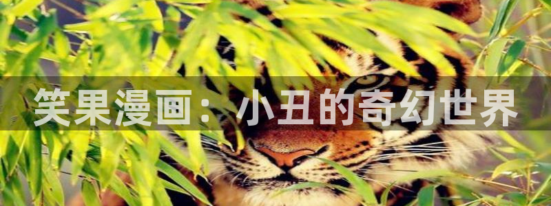 重考生(虫虫漫画)：笑果漫画：小丑的奇幻世界