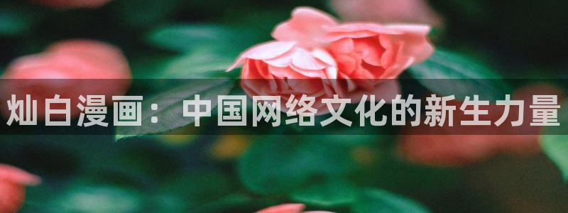 虫虫韩漫在线观看：灿白漫画：中国网络文化的新生力量