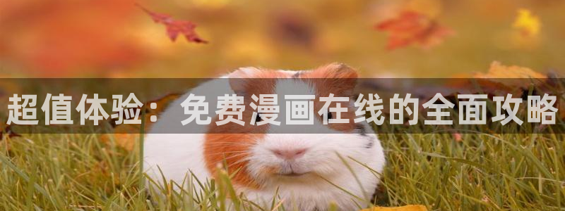宫廷恶女漫画画免费读漫画虫虫漫画：超值体验：免费漫画在线的全面攻略