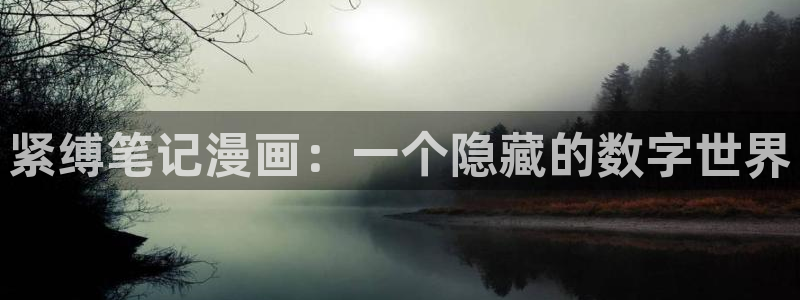 虫虫漫画免费在线看：紧缚笔记漫画：一个隐藏的数字世界