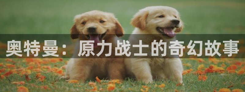虫虫漫画韩漫画：奥特曼：原力战士的奇幻故事