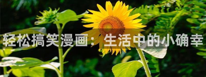 虫虫漫画安全吗：轻松搞笑漫画：生活中的小确幸