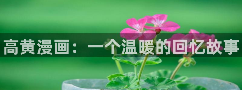 虫虫漫画最新版：高黄漫画：一个温暖的回忆故事