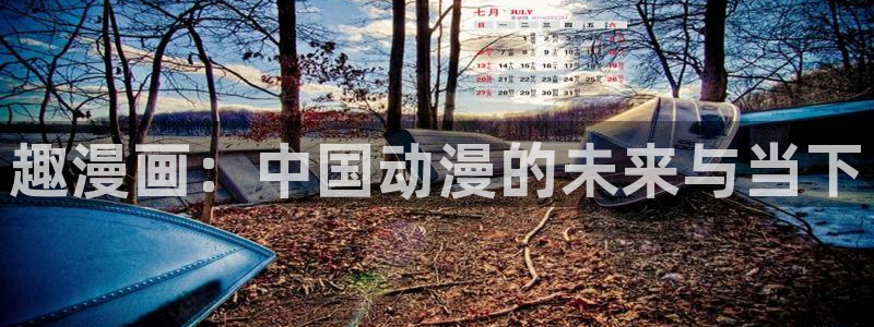 虫虫漫画如何免费看：趣漫画：中国动漫的未来与当下