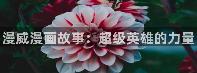 虫虫漫画在线阅读免费漫画入口：漫威漫画故事：超级英雄的力量