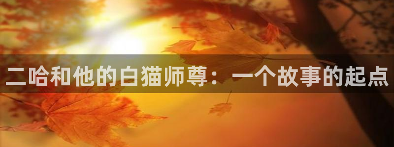 虫虫漫画免费漫画在线看漫画入口：二哈和他的白猫师尊：一个故事的起点