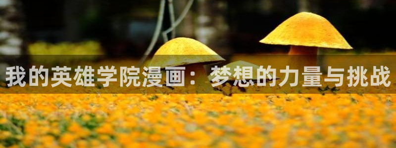 虫虫韩国漫画：我的英雄学院漫画：梦想的力量与挑战