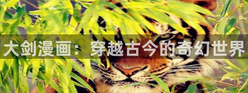 虫虫说漫：大剑漫画：穿越古今的奇幻世界